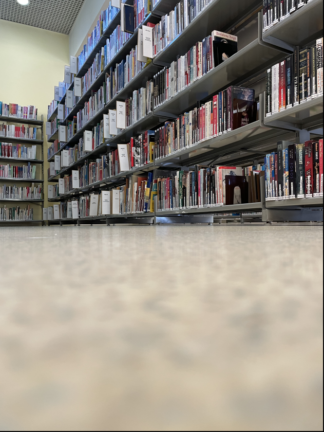 2022-10-24 22_18_40-IMG_1853.HEIC - IrfanView (Zoom_ 667 x 889)