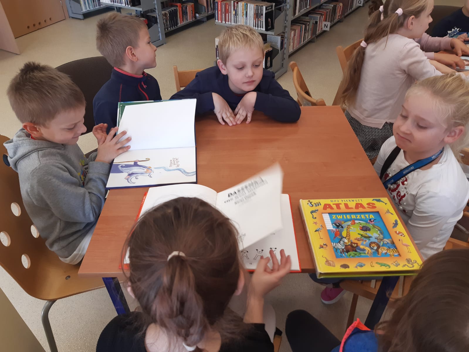 Zdjęcie WhatsApp 2022-0-18 o 08.56.30