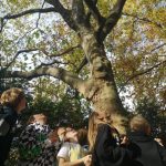 8773df95-29dc-4c02-bf98-32122cb9568e